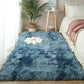 Area Rug Fluffy long hair plush soft floor mat